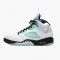 Air Jordan Retro 5 Island Green White/Black/White/Island Green CN2932-100