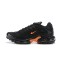 Air Max Plus Tn (M) Shoes  Black Orange