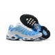 Air Max Plus Tn (M) Shoes  Blue White 852630-411