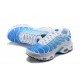 Air Max Plus Tn (M) Shoes  Blue White 852630-411