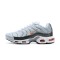 Air Max Plus Tn (M) Shoes  Crater Grey DA1500-100