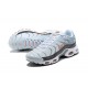 Air Max Plus Tn (M) Shoes  Crater Grey DA1500-100