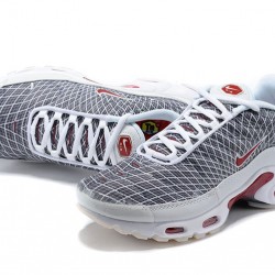 Air Max Plus Tn (M) Shoes  Grey and White