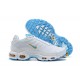 Air Max Plus Tn (M) Shoes  White Blue