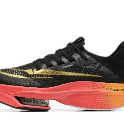 Air Zoom Alphafly Next 2 (M) Running Shoes Black Gold  