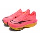 Air Zoom Alphafly Next 2 (W/M) Running Shoes Pink Red