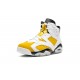 Mens Nike Air Jordan 6 Yellow Ochre CT8529-170 Shoes